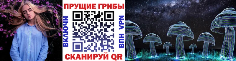 сколько стоит  Мамоново  Псилоцибиновые грибы Psilocybe 