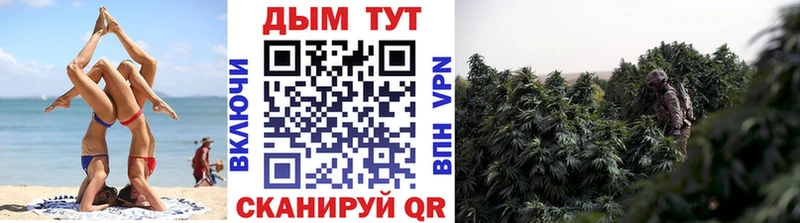 Канабис конопля  купить закладку  Мамоново 